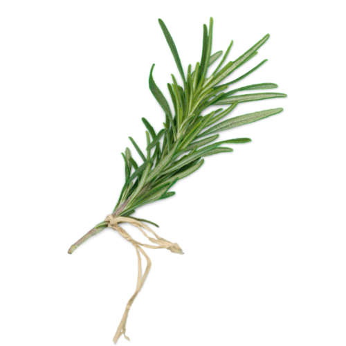 Rosemary