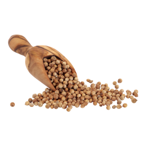 Coriander seeds